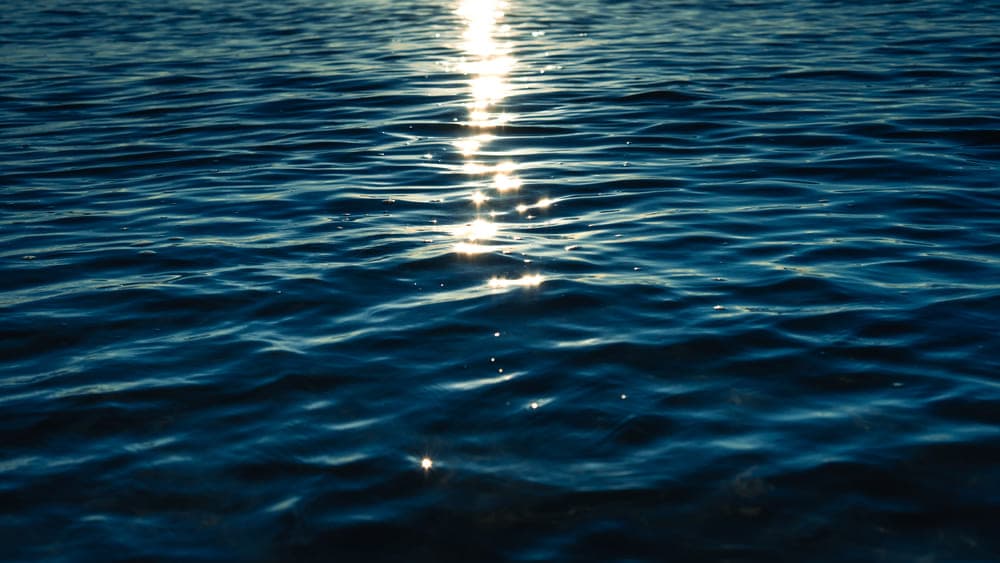 Team collaborating with laptops in a modern workspace