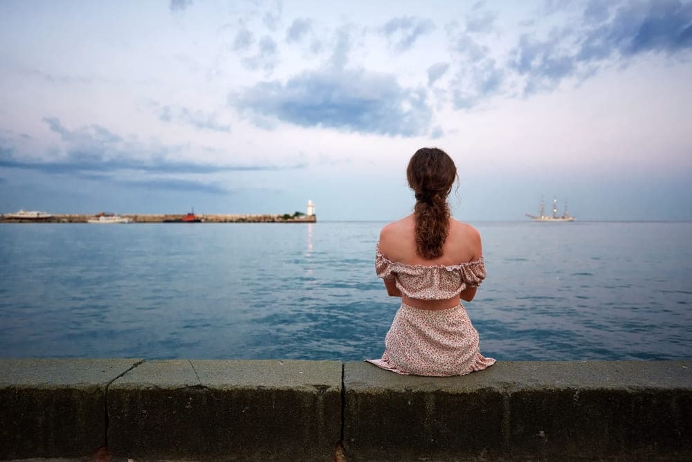 Final Thought: Which one is good? Wix vs Beste?