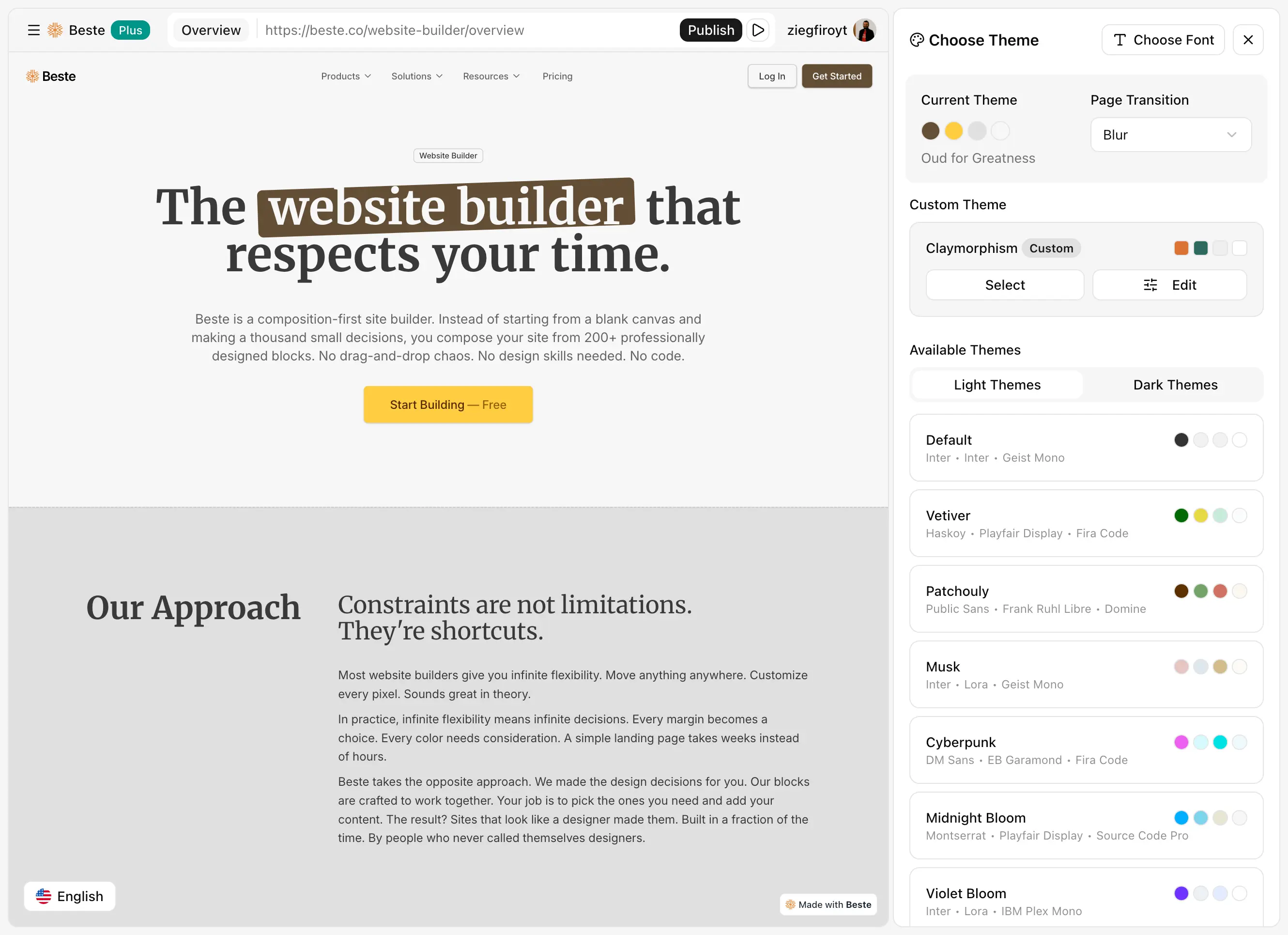 Beste Website Builder: Theme Selection